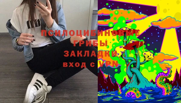 шишки Алексеевка