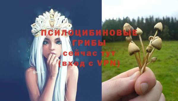 mdpv Алзамай