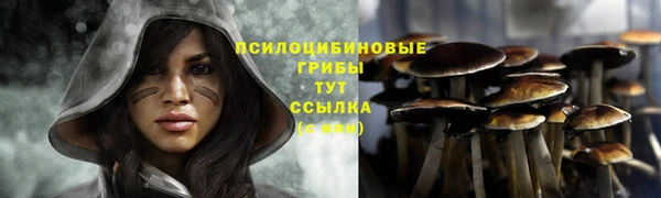 шишки Алексеевка