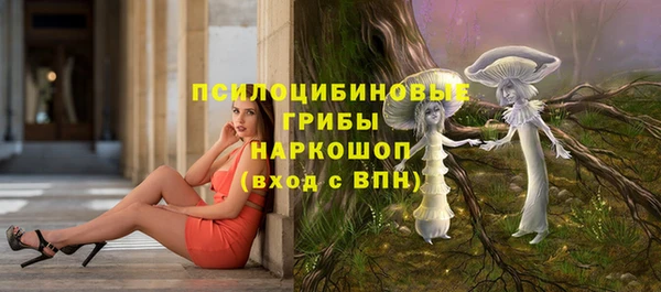 прущий лед Алексин