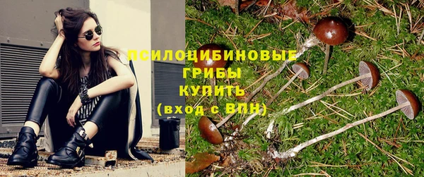mdpv Алзамай