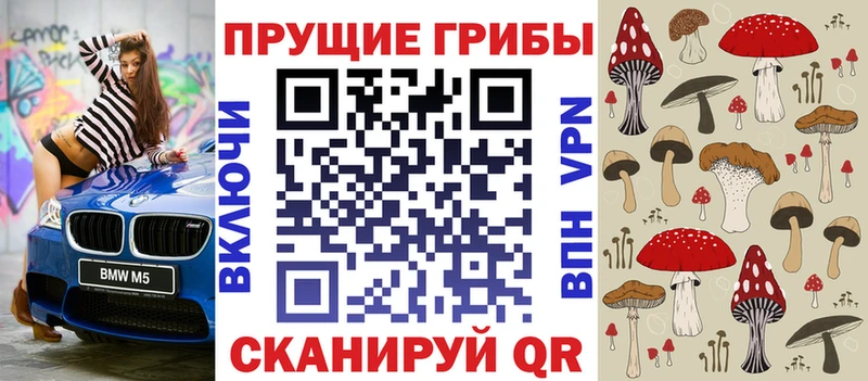 сколько стоит  Апатиты  Псилоцибиновые грибы MAGIC MUSHROOMS 
